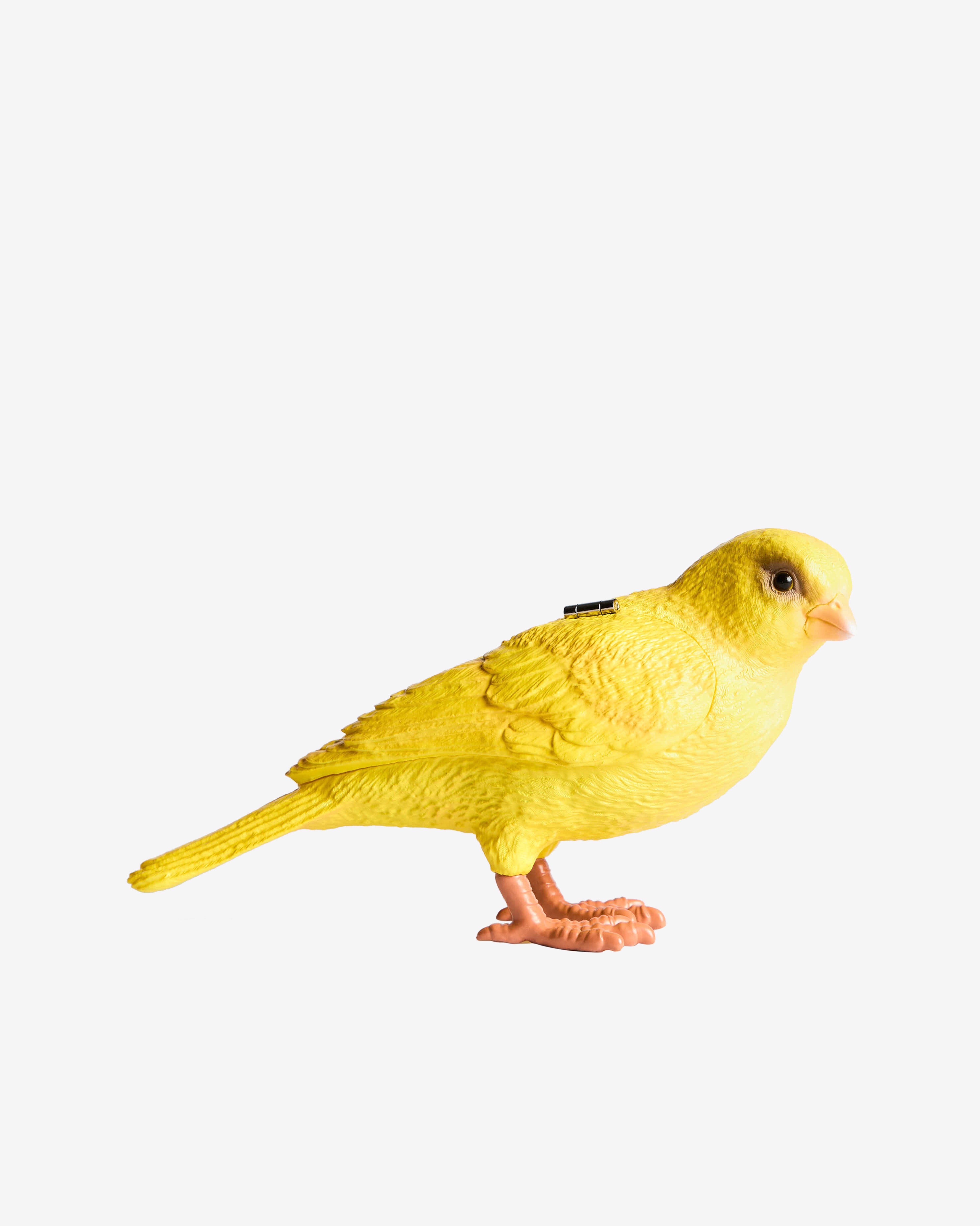 JW Anderson: Women's Canary Clutch (Yellow) | DSMNY E-SHOP