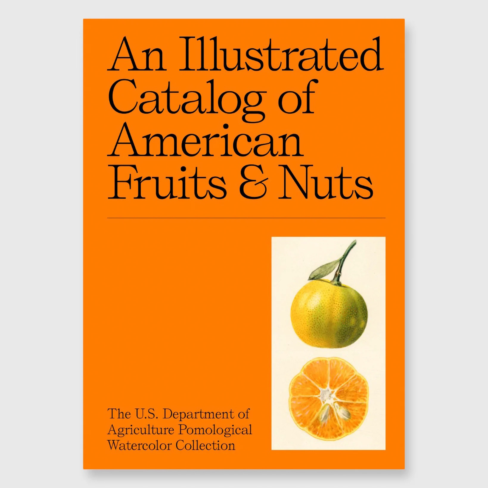 An Illustrated Catalog Of American Fruits & Nuts - COOL HUNTING®